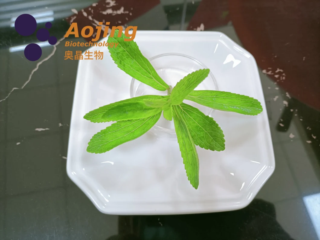 Food Additive Sweetener Stevia Inulin Glycoside Extracted From Stevia Rebaudiana Ra90